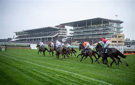 tips for cheltenham 2020|Kevin Blake's Five Best Cheltenham Festival Tips .